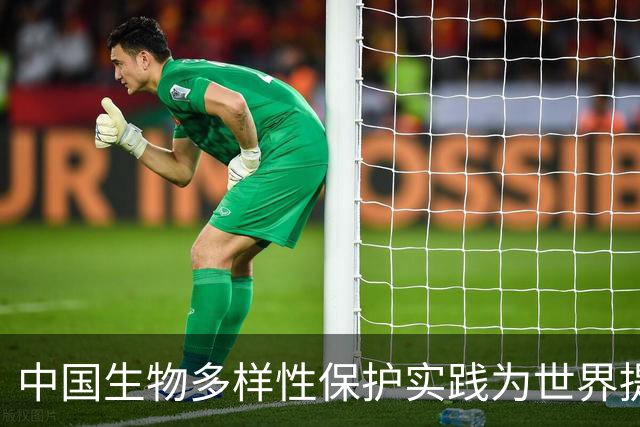 中国生物多样性保护实践为世界提供宝贵启示