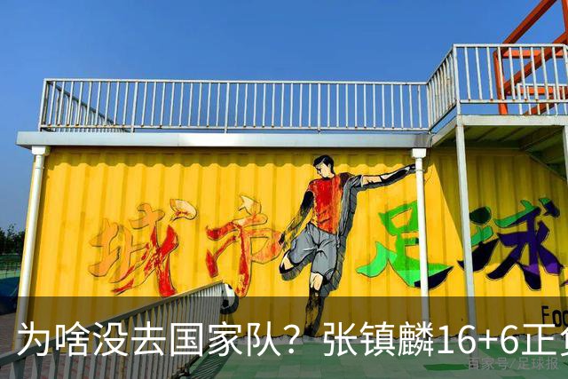 为啥没去国家队？张镇麟16+6正负值全场最高隔扣深圳大外点燃现场