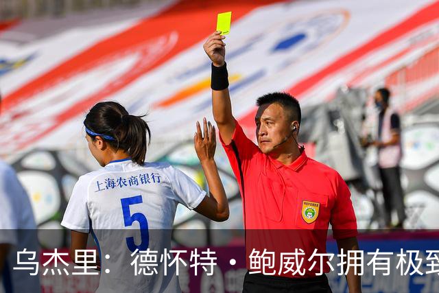 乌杰里：德怀特·鲍威尔拥有极致的专业素养 达拉斯永远是他的家