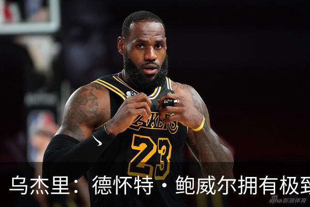 乌杰里：德怀特·鲍威尔拥有极致的专业素养 达拉斯永远是他的家