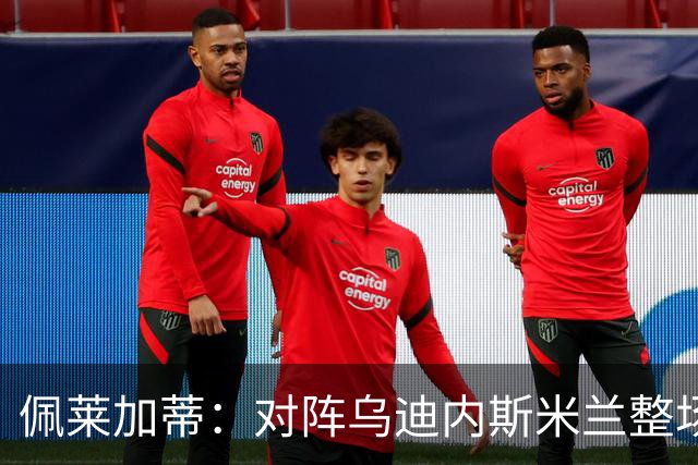 佩莱加蒂：对阵乌迪内斯米兰整场都保持了高度专注，这很积极