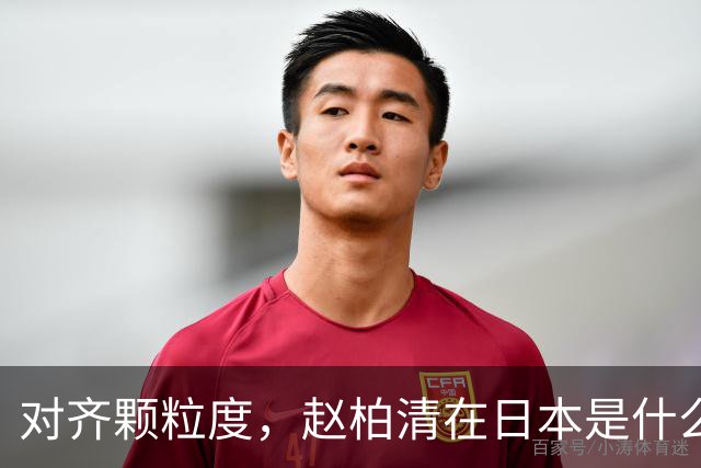 对齐颗粒度，赵柏清在日本是什么水平？
