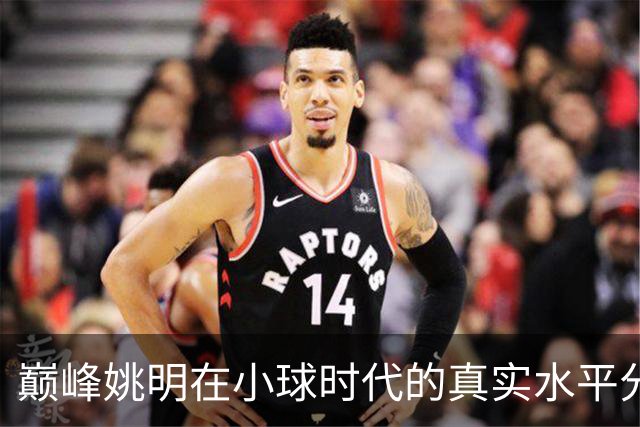 巅峰姚明在小球时代的真实水平分析