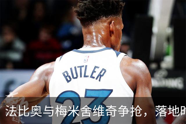 法比奥与梅米舍维奇争抢，落地时脚踝受伤