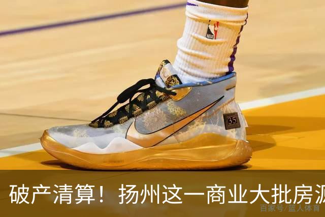 破产清算！扬州这一商业大批房源遭拍卖！