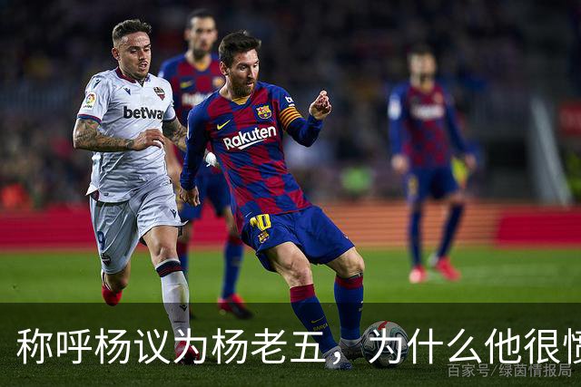 称呼杨议为杨老五，为什么他很愤怒？
