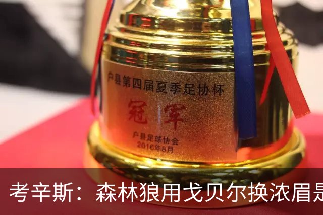 考辛斯：森林狼用戈贝尔换浓眉是双赢 奇才也能借此扶正迪班萨
