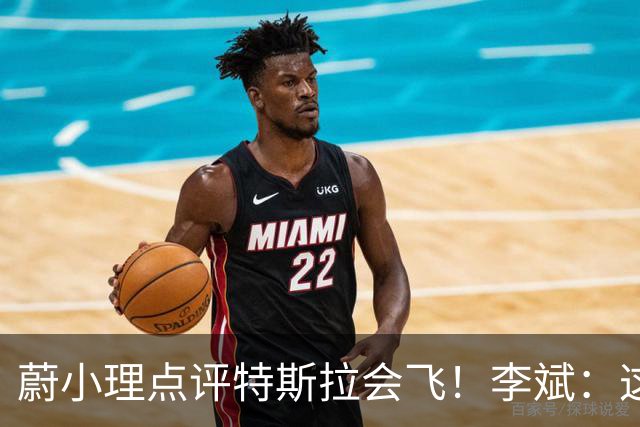 蔚小理点评特斯拉会飞！李斌：这个我们真没有 理想高管：面目全非
