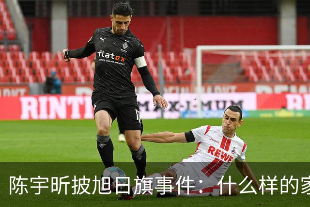陈宇昕披旭日旗事件：什么样的家庭会送儿子去莫斯科上大学？